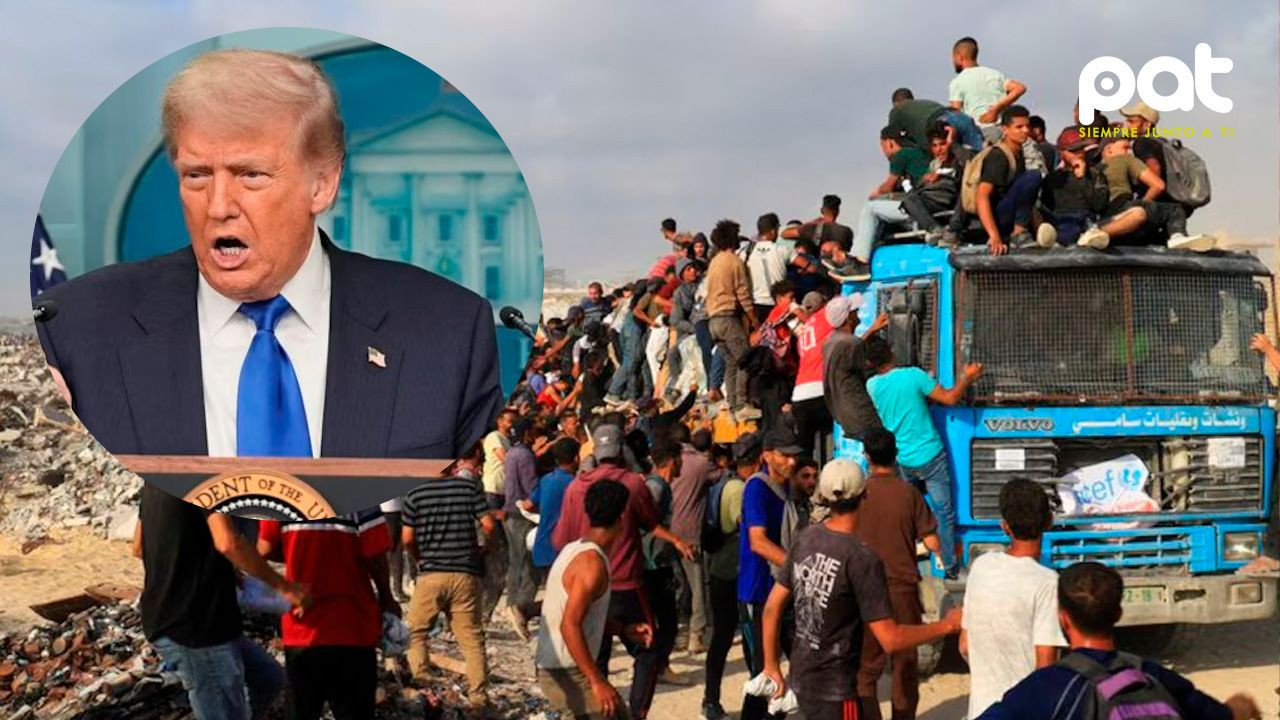 http://www.redpat.tv//uploads/Donald_Trump_b55987536b.jpg