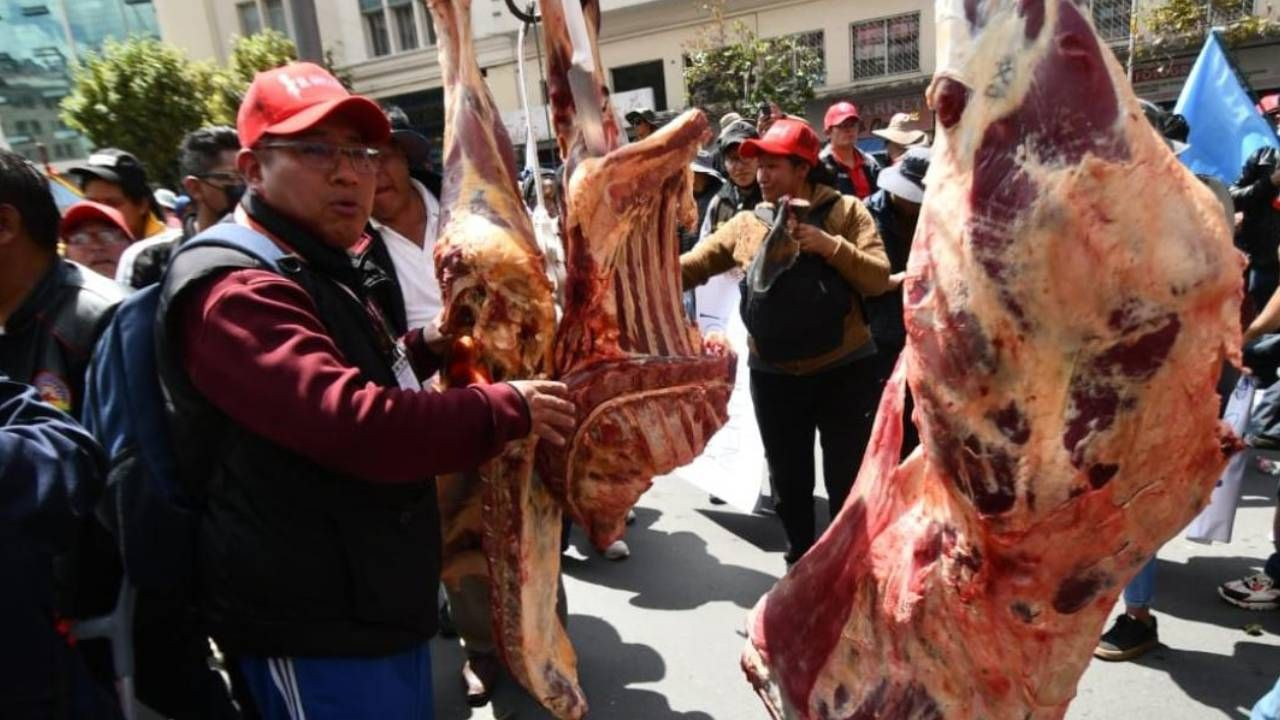 http://www.redpat.tv//uploads/Proyecto_nuevo_2025_06_09_T145236_605_109b12b9fe.jpg