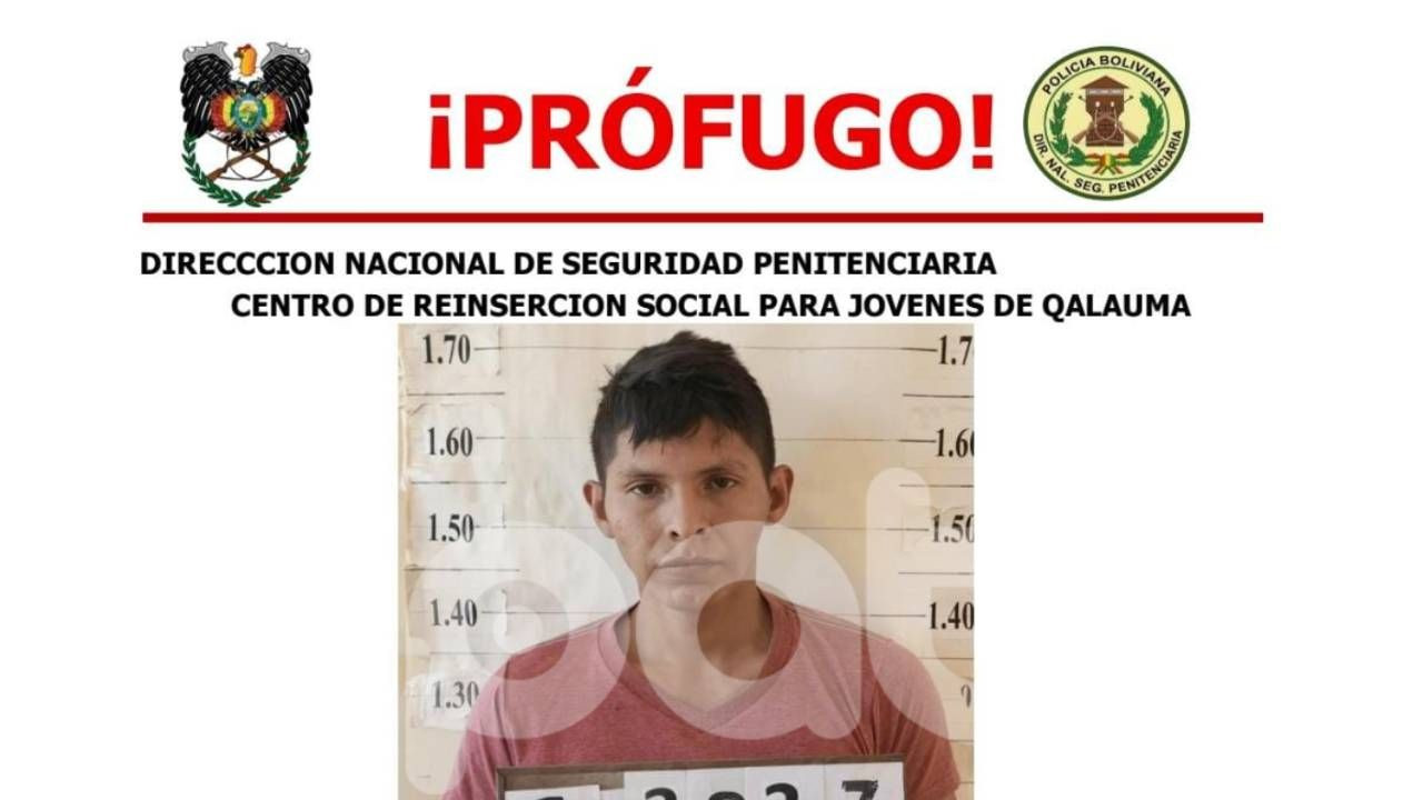 http://www.redpat.tv//uploads/Proyecto_nuevo_30_b27e8c683e.jpg