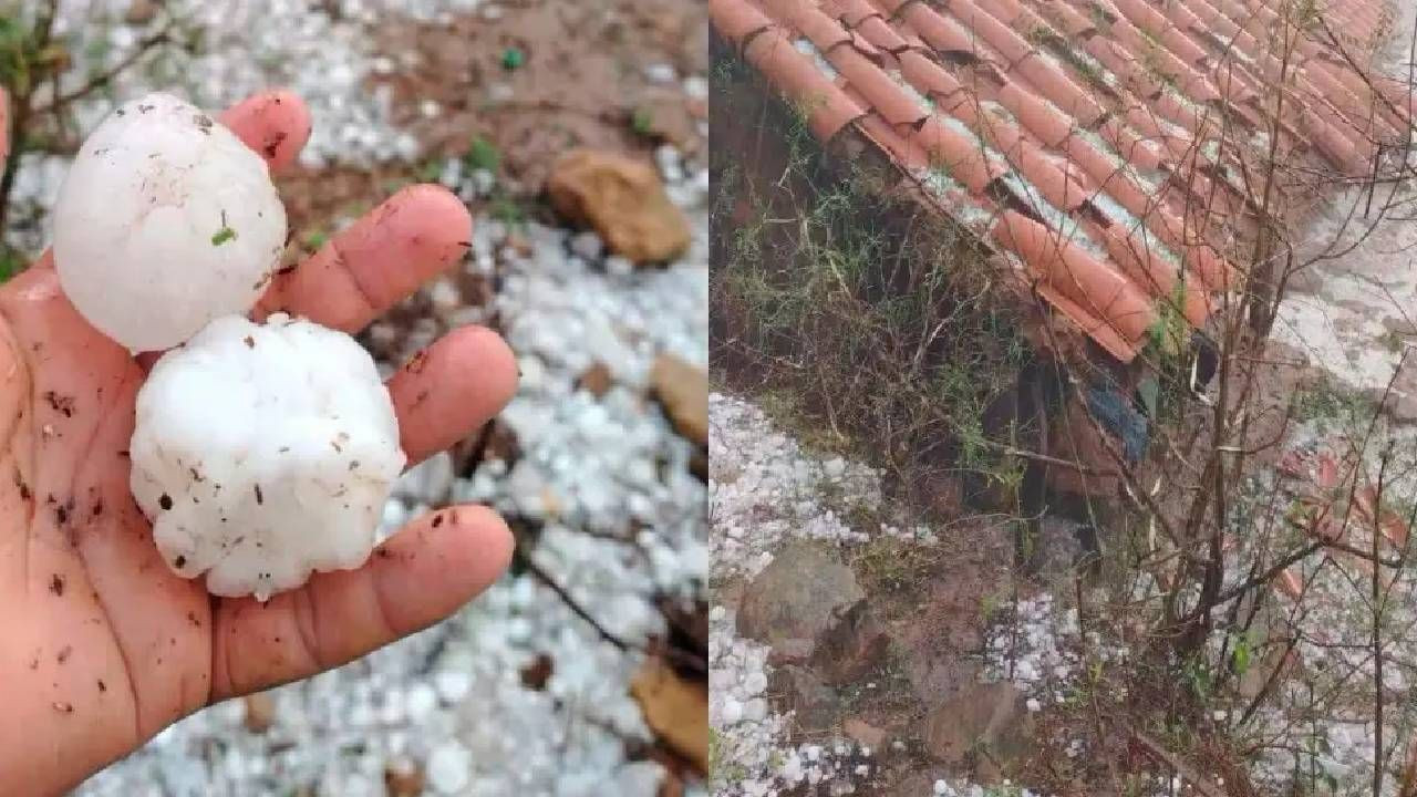 http://www.redpat.tv//uploads/Proyecto_nuevo_40_1594475b4d.jpg