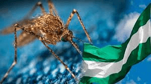 Chikunguña suma 480 casos en la capital cruceña