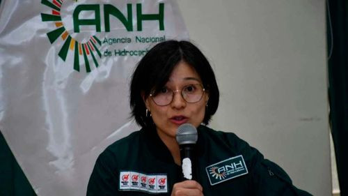 Margot Ayala renuncia a la dirección de la ANH