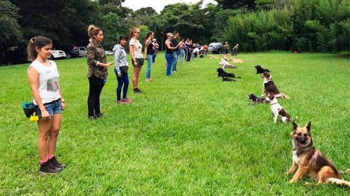 Cochabamba organiza “Adiestratón Canino” para promover la tenencia responsable de mascotas