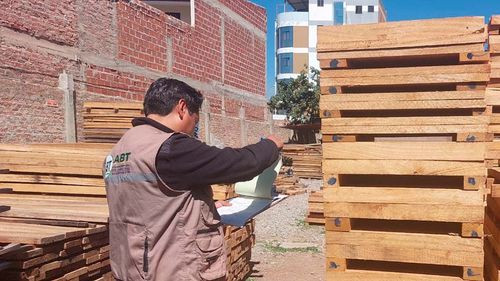 Decomisan 1.800 pies tablares de madera con documentación adulterada en Santa Cruz
