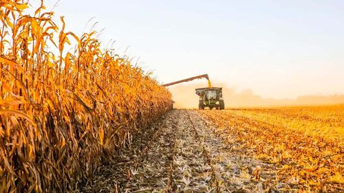 Agroindustria cruceña asegura diésel para la cosecha de más de 2,2 millones de hectáreas