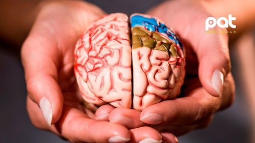 17 hábitos sencillos para cuidar tu cerebro y retrasar el deterioro cognitivo