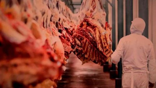 Bolivia inicia exportación de carne bovina a Egipto y abre nuevo mercado internacional