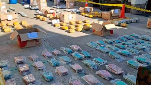 Felcn detecta droga en encomiendas enviadas desde la terminal de Cochabamba