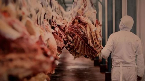 Ganaderos advierten que bloqueos ponen en riesgo exportación de carne pese a reapertura