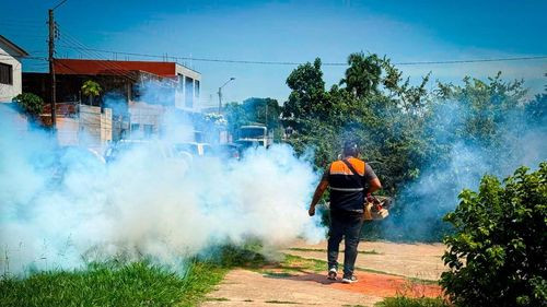 Sedes reporta 2.669 casos de chikungunya y refuerza fumigación en Santa Cruz