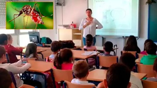 Licencias escolares por chikungunya se gestionan con llamada