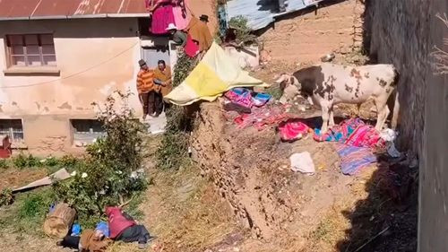 Corrida de toros en zona rural de La Paz deja al menos seis heridos