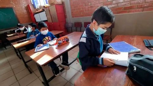 Gobierno aplicará protocolo de bioseguridad ante repunte de sarampión en el retorno a clases