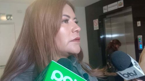Diputada destaca crédito de $us 500 millones del BID para fortalecer protección social