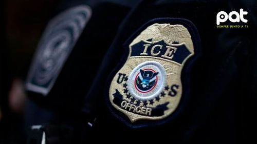 Operativo del ICE en california reporta 361 detenidos y 14 menores rescatados