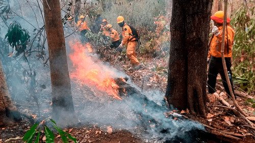Santa Cruz concentra 529 de los 564 focos de calor registrados en el país
