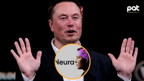 Elon Musk planea restaurar la visión mediante chips cerebrales de Neuralink
