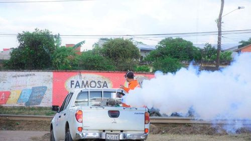 COED realizará minga departamental contra el chikungunya este fin de semana en Santa Cruz