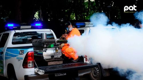 Santa Cruz declara alerta naranja por el aumento de casos de chikunguña