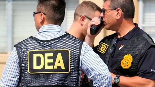 Ocultan más de 300 kilos de droga en cajas de pepinos en Estados Unidos