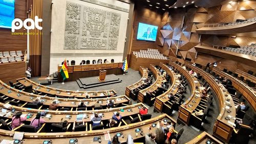 Aprueban ley de redistribución de Escaños: Santa Cruz gana un escaño y Chuquisaca pierde uno  