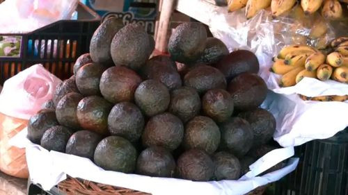 Alerta en Bolivia por paltas peruanas con cadmio