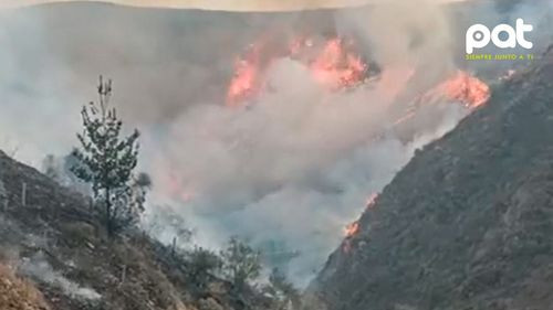 Imagen de Gobierno despliega operativo con helicóptero y más de 100 bomberos para combatir incendio en Tarija