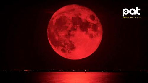 ¿Dónde y cómo ver el eclipse de la Luna de sangre?