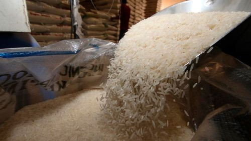Productores de arroz advierten riesgo de pérdida de cosecha por falta de diésel en Bolivia