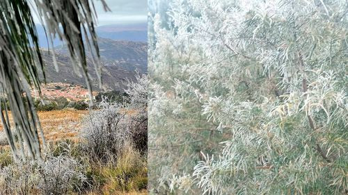 Bajan las temperaturas y Vallegrande amanece cubierta de nieve
