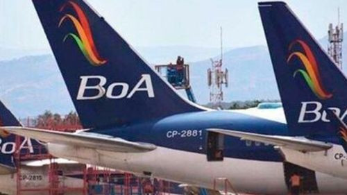 BOA incrementa su flota operativa de 8 a 13 aviones y proyecta llegar a 18 hasta noviembre
