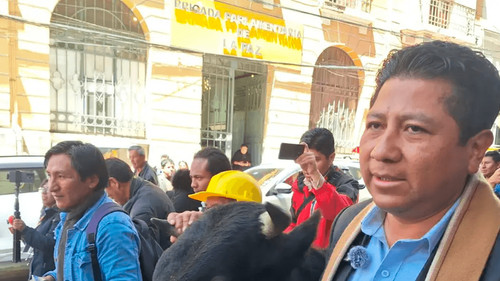 Chui lleva un toro para apoyar reducción salarial en la Asamblea