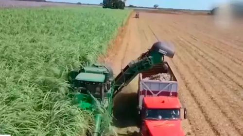 Productores cañeros en emergencia por escasez de diésel a días de la zafra