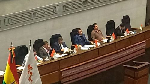 Ministro de Hidrocarburos comparece en la ALP por compra de crudo a Trafigura