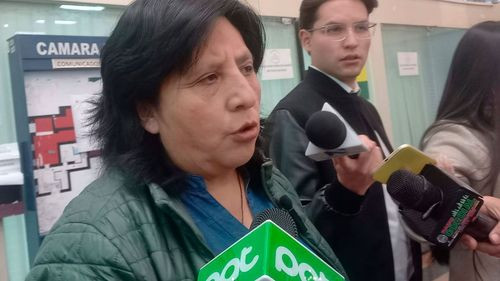 Diputada denuncia que grupos ajenos a El Alto estarían detrás de hechos de violencia