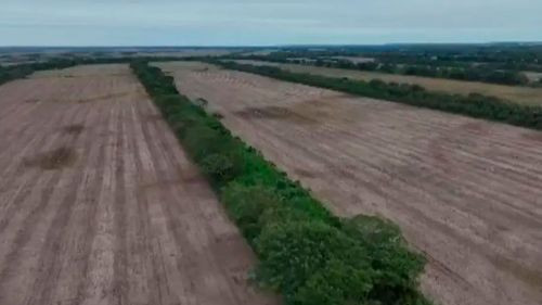 Sector productivo pide reactivar la comisión agraria por avasallamientos