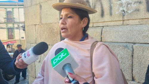 Senadora Crispin afirma que existe temor en el gobierno para dictar un estado de excepción