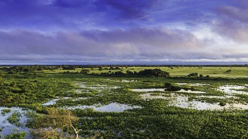 Bolivia enfrenta una alarmante pérdida de aguas superficiales en su territorio