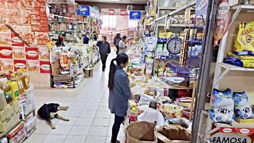 El aceite “desaparece” de mercados de Sucre