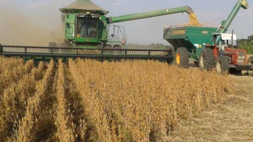 Arce instruye abrir una línea de crédito para financiar la producción de soya