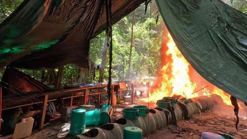 Destruyen laboratorios de droga valuados en $us 1 millón en el Chapare