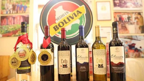  Envibol y bodegas Dolz y Márquez de la Viña acuerda provisión de más de 176.000 botellas