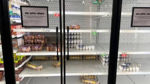 Esta es la razón por la que hay escasez de huevos en Miami
