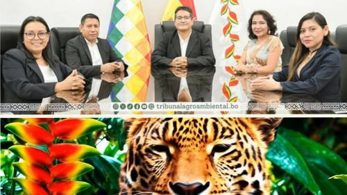 Tribunal Agroambiental admite por primera vez acción ambiental 