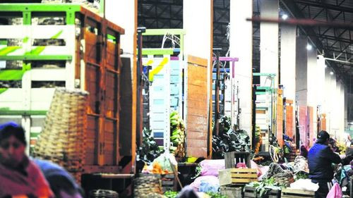 Nuevo Abasto: El Wall Street de las verduras y frutas, que define los precios en Santa Cruz