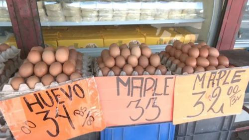 Comunidad ¡Sube el precio del huevo en Cochabamba! El maple de primera ya cuesta 34 bolivianos