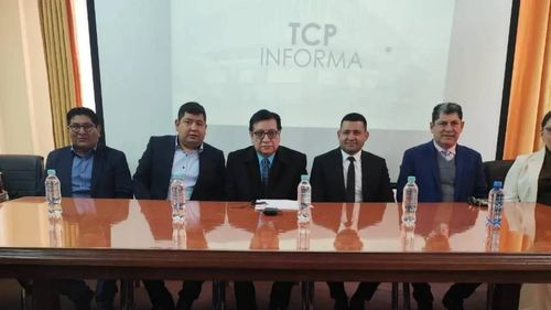 Presidente del TCP: “Este tribunal va a garantizar el calendario que viene realizando el Órgano Electoral”