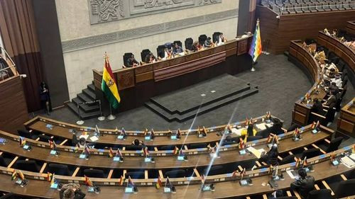 ALP realiza cambios sorpresivos a proyecto de ley para viabilizar crédito japonés de $us 100 millones