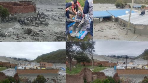 Mazamorra en Llallagua cubre a personas, animales y viviendas