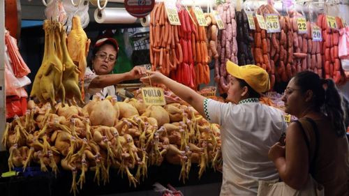 Baja el precio del pollo en Cochabamba y lleva alivio a los hogares